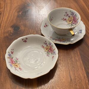 H&C Selb Germany Heinrich Floral Gold Accent Porcelain Teacup, Saucer & Bowl Set